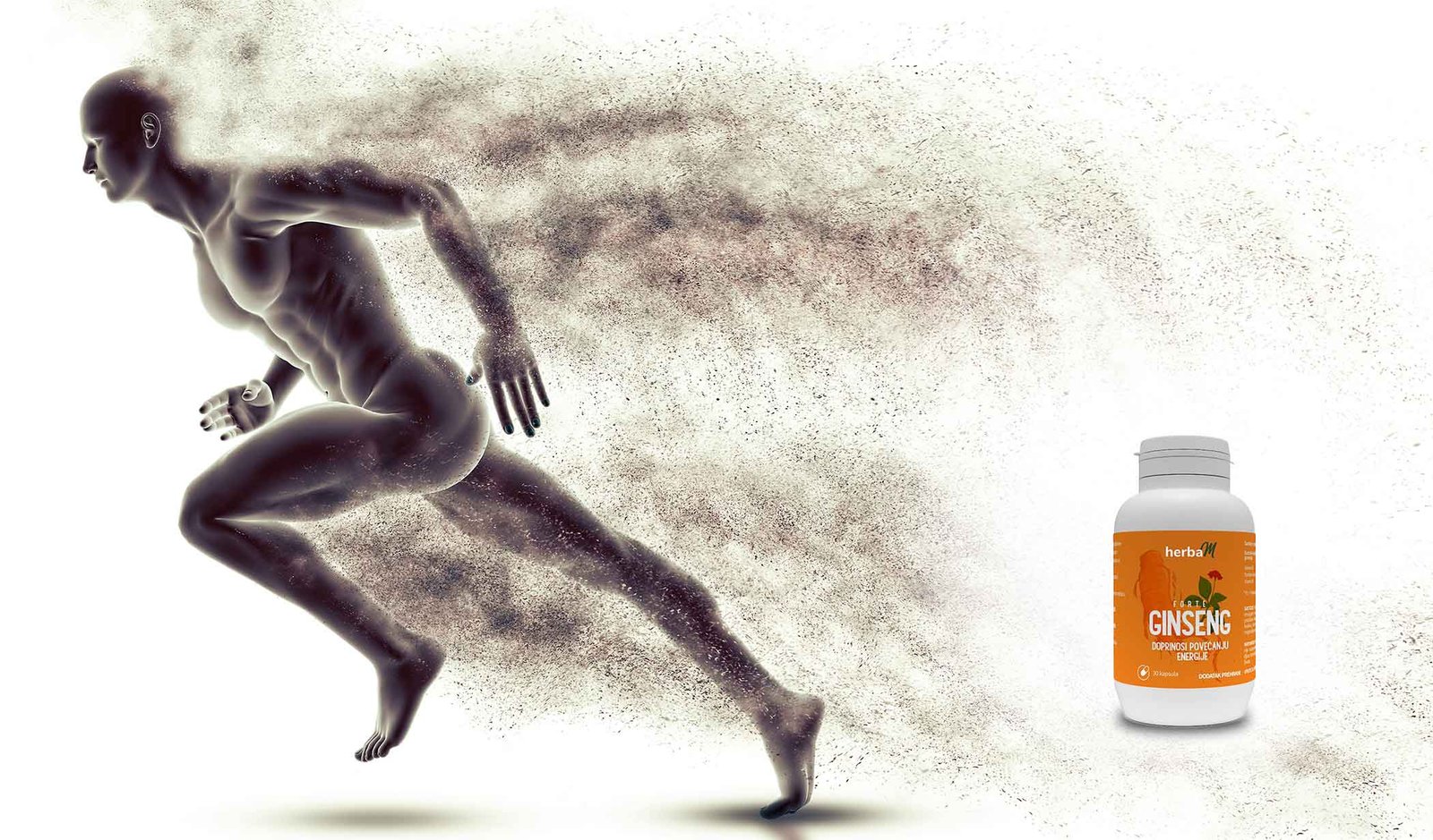 Ginseng Performanse